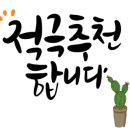 민들레 태권도장 이미지