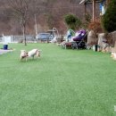 토리푸하우스 이미지