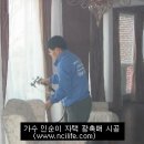 에버그린개발주