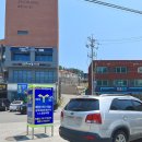 장호항C(해경파출소 옆) | 삼척 장호항 스노쿨링 물 조금 맑음 미역국 느낌 주차장 운영시간 파라솔 가격