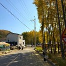 도리보건진료소 이미지