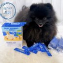 하이비오 이미지