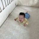 누누슴 | 아기침대] 100일부터 8개월까지 잘 쓰고 있는 아누리 베이비룸 + 누누슴 패브릭 가드 후기(Feat. 몬테소리)
