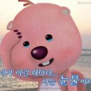 전체 게시판 공지&amp;지기님 설정 완료 이미지