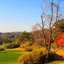 대식당(마에스트로) 이미지