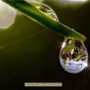 청구농장 이미지