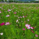 단원구청 이미지