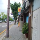 주현동물병원 | [반려견 스케일링 발치] 전신마취 시간 순 기록 / 13살 포메라니안 / 안양 주현동물병원