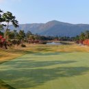 석정 스크린 골프존 이미지