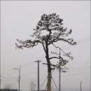 각남보건지소 이미지