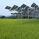 계천시장 이미지