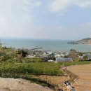 여수바다부동산공인중개사사무소 이미지