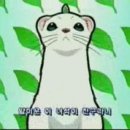 쥬쥬랜드 이미지