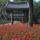 보석사로 이미지