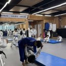 방탄유도관