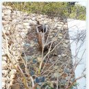 가배장사도펜션 이미지