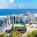 해피데이애견 이미지