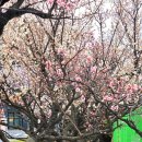 피지건설(주) 네이버블로그