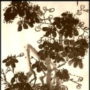 현대문인화와 사군자 이미지