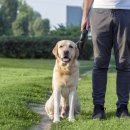 자양동물병원 이미지