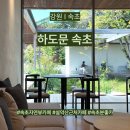 강원 I 속초 하도문속초 중정이 아름다운 자연뷰 카페 후기