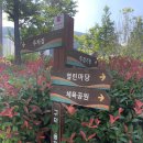 시민공원 게이트볼장 | 15분도시부산 “부산시민체육공원 게이트볼장“