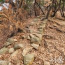 토성목장 이미지