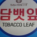 천연우리담뱃잎