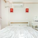 해피데이애견 이미지