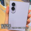 윙크렌즈스토어노원점 | 갤럭시 폴드8 사전예약 자급제 1TB 라벤더 더블스토리지 혜택 정리(노원 롯데백화점 팝업스토어 후기)