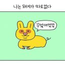 금돼지 - 광명시 범안로 1041 | 금돼지