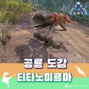 미르마 티스토리