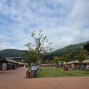 내포중학교 | 예산 내포보부상촌에서 놀고, 예산 상설시장에서 점심먹기 !