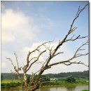 섬진강자전거길1 이미지