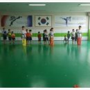 루루태권도장 이미지