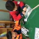 송정중앙초등학교 이미지