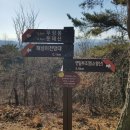 옥녀봉 전망대 이미지