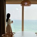 이스트스테이 | 강릉 오션뷰 감성 숙소 신축 펜션 이스트스테이