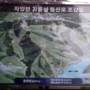 생육신 이경은선생 부조묘 Daum카페