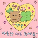 JJ에스테틱 이미지