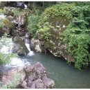 옥정호목장 이미지