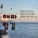 어울마당어린이공원 | 부산가볼만한곳 추천!! 초보 트레킹코스 해파랑길, 노을맛집 광안대교야경 명소 이기대해안산책로 후기