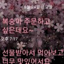 은주미가