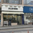 엘리앙(alleyang)