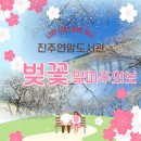 진주시립연암도서관 | 벚꽃 멀미 주의보가 내려진 진주시립연암도서관