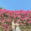 미니스톱(가양대교점) | 네번째 :: 선유도 바라보며 피크닉 즐기기 &#39;양화한강공원&#39; (feat. 장미포토존, 피크닉 명당, 배달 후기)