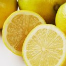 주식회사 남경제주에너지 | 아침 공복 올리브유 올리브오일레몬즙 고지혈증 정상회복