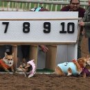 압수 경로당 이미지