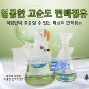 목향편백 이미지