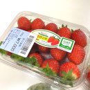 로컬푸드직매장(아름동) 이미지